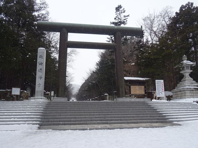 近所の神社に初詣は行きましたが、やっぱり北海道神宮に行かないと・・・と行ってきました<br /><br />今年は雪が今のところ少ないです