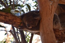 カンガルー島で新年を　2016年年越し旅行　（２）　カンガルー島の大晦日