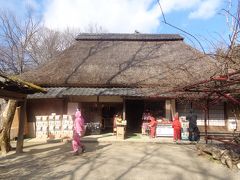 伊賀鉄道　甲賀忍術村