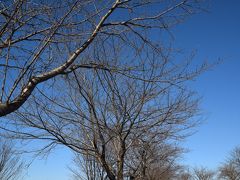 一眼レフ＆３５ｍｍ単焦点レンズで写す、成田さくらの山までの道