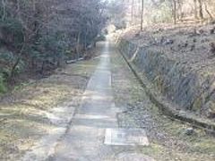 冬の奈良一人旅　1日目