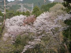 ●小峰公園