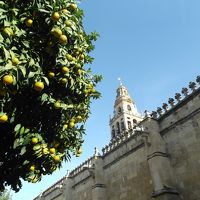 ★情熱のスペイン・魅力プラス★＜５日目＞