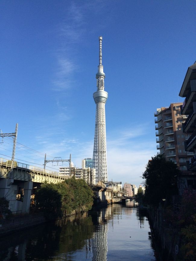 関東に引越して来て、初めてのお正月。<br />本来であれば、例年通り帰省するはずが、家族の仕事の関係で、お正月前に帰省したので、お正月は暖かい関東で過ごす事になりました。<br /><br />折角なので、電車でぷらっと東京歩きに行ってみました。<br />無計画で行ったので、全部中途半端になっちゃいました（笑）<br /><br />次回は、もっとじっくり見たいけど、幼子がいるからなぁ〜、難しい…。