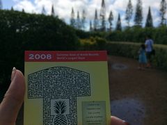 2015'12 子連れHawaii 7日目～帰国！