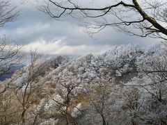 鈴鹿・綿向山の樹氷林