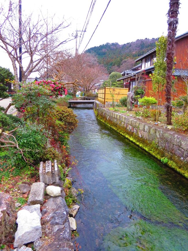 <br />　街道筋には誰もいません<br /><br />　カメラ片手にブラブラするも寂しいような町歩きです<br /><br />　地元の人には変な顔で見られるし<br /><br />　伊吹おろしが寒かっです<br /><br /><br /><br /><br />　表紙　　　　　　　　　　　　　　　　　　　　　　　醒ヶ井宿・地蔵川