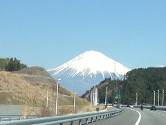 子連れ帰省＠静岡　浜松