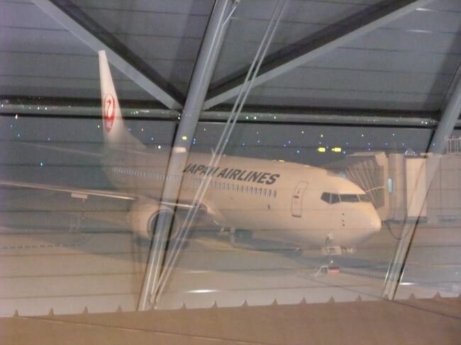 JL220 関西ー羽田 B737-800　JAL SKY NEXT（クラスJ） 搭乗記