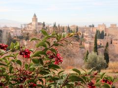 年末スペイン10日間　アンダルシアの街めぐりとバルセロナ・アパートメントステイの旅⑧グラナダ2日目　アルハンブラ宮殿編