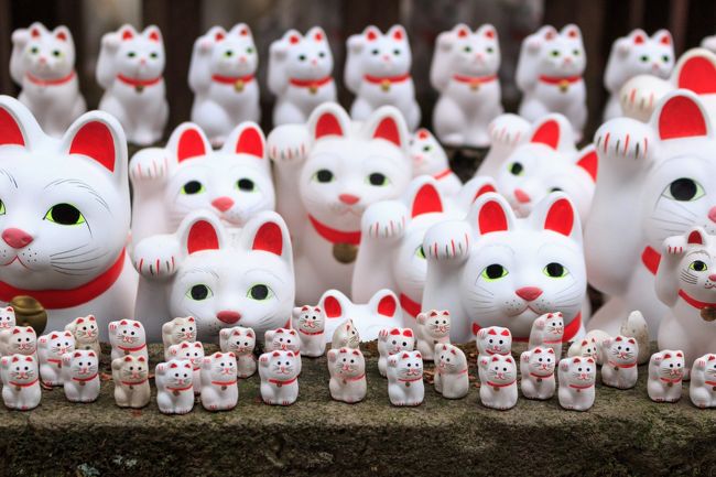 2016年もスタート!<br />1月ということで、去年から気になっていた豪徳寺の招き猫に会いに行ってきました。<br />内容が無いのでサラッと流してください<br /><br />【豪徳寺】<br />開門時間:6:00~17:00<br />寺務所 :8:00~17:00<br /><br />アクセス:豪徳寺駅(小田急線)から徒歩10分<br /> 宮の坂駅(東急世田谷線)から徒歩5分