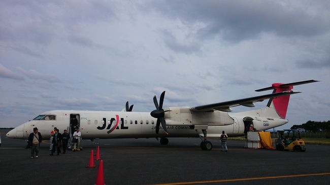 念願の屋久島トレッキングに行ってきました。<br />到着初日は、近くの大型ドラッグストアで食料などの買い出し。<br />２日目の大晦日の日には、もののけ姫でおなじみの『白谷雲水峡＆太鼓岩トレッキング』<br />３日目の元旦には、約22ｋｍを13時間かけて、世界遺産の『縄文杉トレッキング』<br />４日目の最終日には半日かけて屋久島１周島内観光。<br />屋久島は、週に８日、１ヶ月に35日雨が降ると言われるぐらい雨の多いところですが、<br />幸いなことに雨には降られず、最高の初日の出を見ることも出来ました。