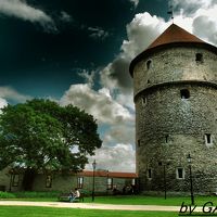 ２０１５年初夏の旅～家族を連れてエストニア編～