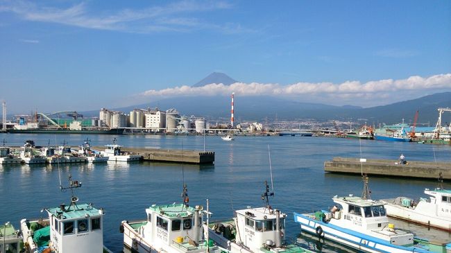 帰省すると、お墓参りがてら、近くの田子の浦港に行きます。<br /><br />しらす漁解禁中の4月1日〜12月末までは、食堂で生しらす丼をいただきます♪