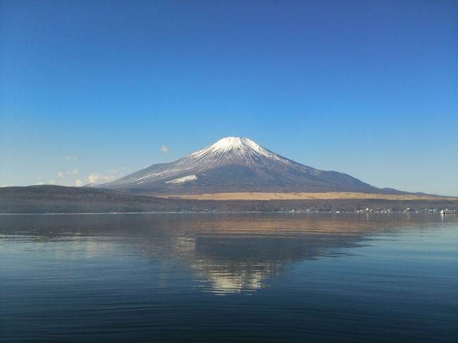 東京からも比較的近く、お手軽にワカサギ釣りを楽しんできました。<br /><br />中央道で東京から山中湖へ。<br />以前は富士五湖道路使ってましたが、富士吉田から一般道路でもスムーズに行けます。<br /><br />ワカサギ釣りの出船は7:00。集合は6:30なので前泊しました。<br />(遅れても小型船で送ってくれるので大丈夫です)<br /><br />宿泊は「エクシブ山中湖」<br />会員制リゾートです。<br />ワカサギ釣りで利用することは想定しないで買ったのですが、意外と使い勝手がよくて毎回利用してます。<br />部屋もゴージャスなんですが、ワカサギ釣りの、ときは素泊まりばかり。ちょっともったいないかな？<br /><br />早朝にチェックアウトしていざワカサギ釣りへ。<br />今回も「旭ヶ丘観光」さんのドーム船を利用してます。<br />この日は珍しく2号船でした。<br />7:00出船しポイントへ移動。7:30くらいから釣り開始です。<br /><br />山中湖だと水深は10mちょっとです。<br />ワカサギは基本底なので、その辺で棚を探ります。<br />朝はやっぱり喰いが良いので、下ろしている間からワカサギがかかります。<br />ダブル、トリプルなど連チャンで楽しめます。<br />明るくなる9時くらいからシブシブに…<br />丁寧に底のワカサギを探って、少ないアタリを確実にひっかける神経戦に入ります。<br />まぁこの方が腕が試されるので、楽しいんですけどね<br /><br />結果的には100匹に届きませんでしたが、やっぱりワカサギ釣りは楽しいです♪<br />