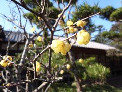 静岡初詣の旅③大朝神社～沼津御用邸～沼津港