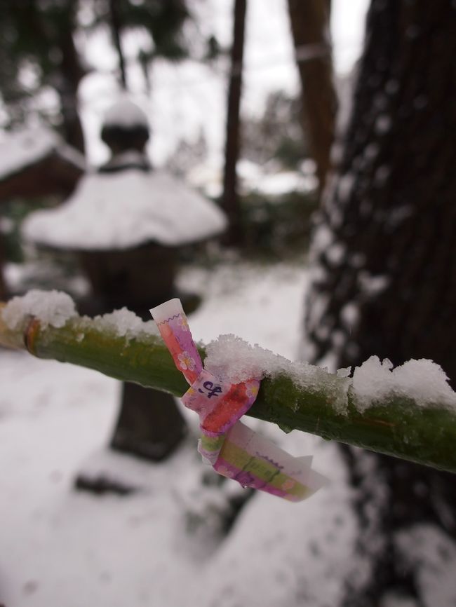 朝から、テレビでは、東京の積雪のニュースで大騒ぎ。通勤時間帯くらいには雨に変わっていたようなのに、まだかなりの影響があるようで大変だなぁ。<br /><br />私も東京育ちなので、雪に対する構えはそんなもん・・・。<br /><br />仙台に来て３度目の冬。あまり積雪しないと聞いていた仙台だったが、一昨年も昨年も、何度も積雪があった。わが家は、サマータイヤをつけっぱなしなので、もし積雪すると、車は動かせない。スノータイヤに履き替えたとしても、雪や凍結が怖くて運転なんてできない。<br /><br />今冬は暖冬で・・・わが家のあたり・・・仙台市街地では、部分的にちょっとだけ白くなったことはあったけれど、今朝目が覚めたら・・・天気予報通りの真っ白い世界～～！今冬、初めての本格的な積雪だ！<br /><br />目の悪い連れ合いを、地下鉄で会社まで送った帰り・・・１０時過ぎには仙台でも雨に変わってしまい・・・どっかに雪景色を見に・・・と思っていたけれど、それはやめとこう。うちの近所の神社をちょっと覗きに行って・・・車の周りの雪かきをしなければ・・・。