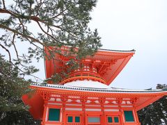 旅するイルカ♪　雪の高野山＆雪の龍神スカイライン　スノードライヴへ　Part 2