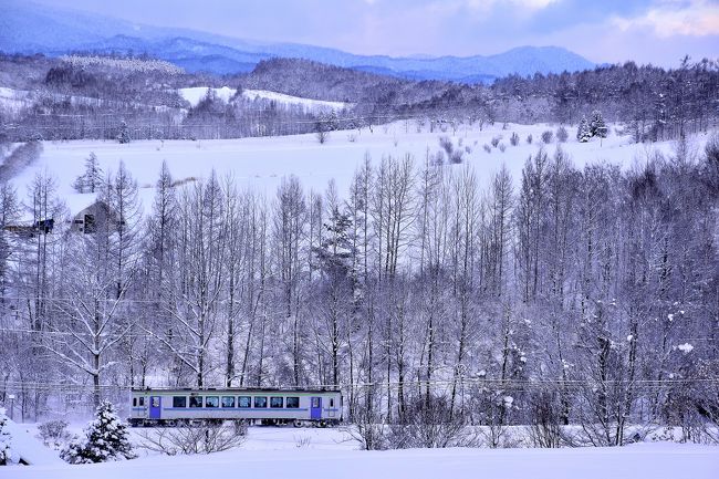 「北海道＆東日本パス」を利用して、冬の北海道（道北地方）を巡るローカル線の旅を満喫してきました。<br /><br />--<br />冬の北海道、道北地方を巡る旅 ～最後の寝台急行列車「はまなす号」に乗って（往復編）～<br />http://4travel.jp/travelogue/11094029<br /><br />冬の北海道、道北地方を巡る旅 ～白銀の美瑛の丘と美瑛（白金）の青い池のライトアップを見に訪れてみた～<br />http://4travel.jp/travelogue/11094731<br /><br />冬の北海道、道北地方を巡る旅 ～宗谷本線の定期排雪列車（宗谷ラッセル）を追いかけて@天塩中川、音威子府 （2016年度版）～<br />http://4travel.jp/travelogue/11095372<br /><br />冬の北海道、道北地方を巡る旅 ～白銀の美瑛（上富良野）の丘を見に訪れてみた～<br />http://4travel.jp/travelogue/11096469<br />--<br /><br />白銀の風景が広がる冬の美瑛（上富良野）周辺の丘を見に訪れてみました。