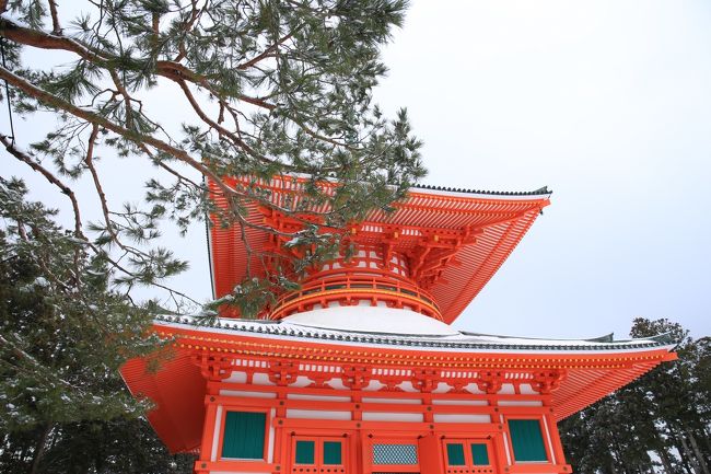 昨日に引き続き　行って来ました<br />雪の高野山＆雪の龍神スカイラインへ<br />天気予報では荒天の予報でしたが<br />実際は好天でした<br />昨日より良い写真がたくさん撮影<br />できました