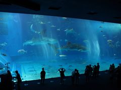 2014年　子連れ沖縄家族旅行②～初の美ら海水族館！～