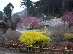 熱海梅園　