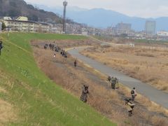 淀川河川敷でバードウォチング、コミミズクに会えた。＾０＾/