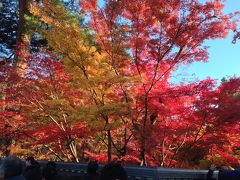 秋の絶景京都旅2013