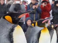 2016-01冬の北海道～３年連続の旭山動物園訪問～