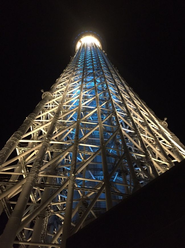 表紙の写真・スカイツリーは昼間より夜景がよろしいかも・・<br /><br />1月18日に東京は大雪でしたので、前日まで天気予報をにらめっこ(^_^)<br />晴れ予報ですが寒そう・・では、今回も着物で行こう。。<br />最大の目的は、ダビンチの糸巻きの聖母を鑑賞ですが、久しぶりの東京ですので楽しみ^_^<br /><br />いつも上京する時にお付き合いして下さる友人は、昨年の4月のパリ一人旅の時に羽田まで出迎えもしてくれました。<br />今回も上京するんだけど・・と電話しましたら<br />快諾してくれまして、楽しい1日でした。<br /><br />2日目はどうしようかしら？まあ、行き当たりばったりで・・<br />実は４ｔの方とお会いする予定でしたが、急用で次回に延期になったのでした。。<br /><br />レオナルド・ダ・ヴィンチの特別展。<br />会期は２０１６・１月１６日～４月１０日です。<br /><br />日本とイタリアの国交樹立１５０年を記念した特別展です。<br /><br />天才ぶりを再確認する膨大な資料などの展示もあります。<br /><br />スコットランド・ナショナル・ギャラリー寄託の板絵「糸巻きの聖母」・素描なども見所満載でした。<br /><br />