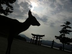 【広島】宮島→大久野島→呉線→呉駅