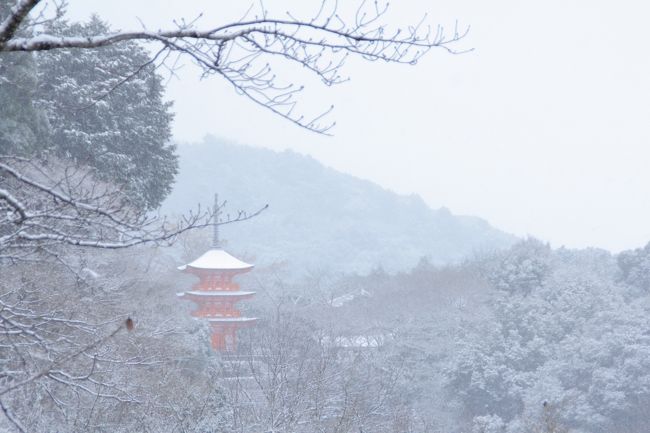 2016年1月20日。この日は、前日から京都にまとまった雪が降るとの情報がありました。<br />早朝から通勤ラッシュの電車に揺られながら、雪に覆われた京都の町へ出かけてきました。<br />今回の訪問先は、清水寺と金閣寺の2か所。<br />どちらもとても美しい雪化粧で、絶景でした。<br />ただ、予想外だったのは、清水寺も金閣寺もどちらも傘が手放せないほど吹雪いていて、思うように写真が撮れなかったこと。<br />プロの方たちはどのようにして撮影しているのでしょうかね。