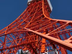 大江戸みどころ８選！隅田川クルーズと浅草・下町散歩ツアー