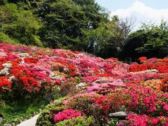 葉山つつじめぐり