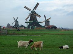 オランダの風車を見に、アムステルダム郊外のザーンセ・スカンスへ。たかが風車といえど、素晴らしい風景画の世界です。