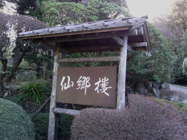 年末に箱根の仙石原に行ってきました。さすがに寒かったですが、久々に白濁の温泉を堪能しました。