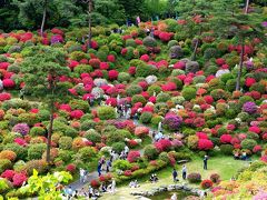 ●塩船観音寺