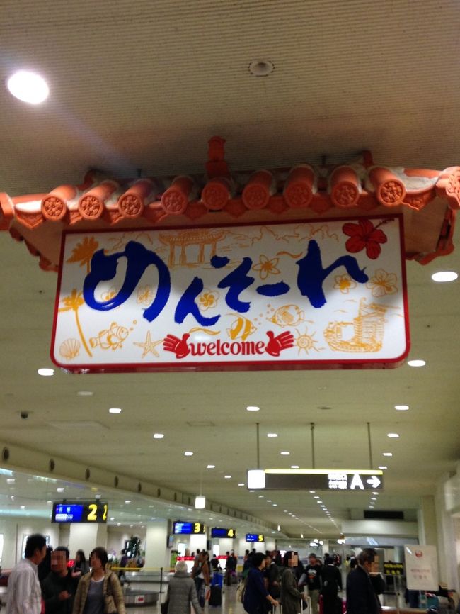 今年も始まりますよ！<br />我々夫婦の沖縄旅行(^O^)／<br /><br />今回の旅の目的、緋寒桜と新生ティンクティンク。<br /><br />初日は、那覇市内観光です。<br /><br />沖縄ですからもちろん避寒・・・のはずだったのですが。。。