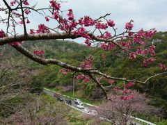 温暖な沖縄へ避寒旅！？冬の沖縄旅行 ２０１６（２／３）