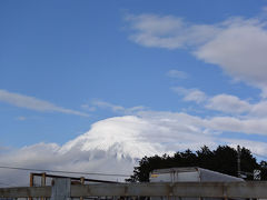 散歩 2016.01.18 =久しぶりの雨が上がりましたので広見公園へ…=