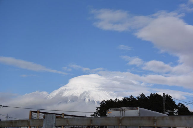 久しぶりに降った雨が上がり、散歩しながら広見公園へ行って来ました。<br /><br />★富士市役所のHPです。<br />http://www.city.fuji.shizuoka.jp/