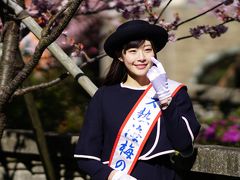 糸川桜まつり in 熱海