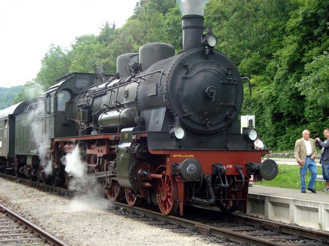 「ブタハタール鉄道」、日本では「豚のしっぽ鉄道」。<br /><br />えっ！って思いますね。豚ってドイツ語で「ブタ」って言うの？（笑）って。<br />実はドイツ語では「Wutachtalbahn」。<br />つまりヴータッハの谷の鉄道という意味です。<br />こちらの方言でザウシュヴェンツレ（豚のしっぽ）鉄道と呼ばれています。<br /><br />この鉄道は豚のしっぽのようにくるくると、何箇所も蛇行したりループを描いたりしながら走るルートなのでそう呼ばれています。<br /><br />ところが、かわいらしい名前に似合わず、この鉄道は軍事目的に造られた路線だったのです。<br />普仏戦争後のフランスとの緊張関係、第一次・第二次大戦では軍用列車、救護列車として活躍しました。<br />地図にも載っていなかったこの路線は、終戦後は衰退の一途を辿り、一時は廃止の決定がなされましたが、1977年に保存鉄道として蒸気機関車の運行が開始されることになりました。<br />変化に富んだ地形、風光明媚な黒い森の中を走るこの片道25キロメートルを1時間かけて走る路線は、週末だけしか動いていないのも影響して、今や遠くから多くの観光客が押しかけています。<br /><br />私は「豚のしっぽ鉄道」のことをBSテレビの旅番組で知りました。<br />行きたいな〜。<br />でも、ちょっとアクセスが悪いので躊躇していましたが、今回夫がシャフハウゼンに行きたいと言ったとき、シメタ！と（笑）。<br />夫と一緒なら何とかなるかも知れない・・・。<br />ええ、夫のこと、頼りにしているのです。<br />