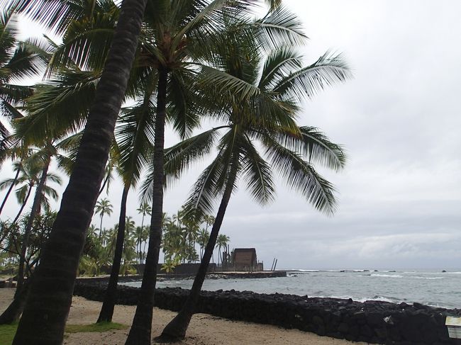ハワイ島4日目<br /><br />雨の降らないコナ地方に、どしゃ降りの雨と、地響きするほどの雷！<br /><br />珍しい事らしいですが、ありがたくないです･･･<br /><br />結局、マウナケア星空＆サンライズも、ナイトマンタも、雨！<br />天候不良の為２日続けて中止となりました。<br /><br />ガックリ･･･<br /><br />では、今日は雨の中、コナより南へ向かってみましょう。