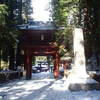 沖縄旅行がまさかの当日キャンセル！！で急遽予定変更してお墓参り後に日光へ。