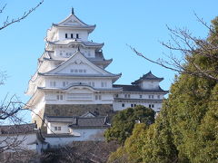 2016年1月　「冬の姫路城」