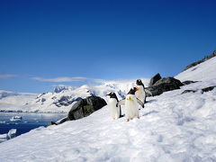 南極を経験する！　シーズン２０１５−２０１６