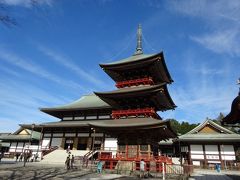 復活した女子旅　千葉、成田山