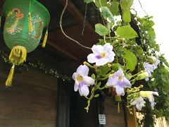 ４中年夫婦で行く-初ハノイとホイアン-