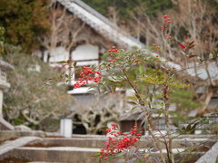 一乗寺で写真の練習